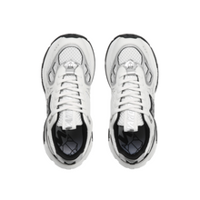 شبكة بيضاء / فضية