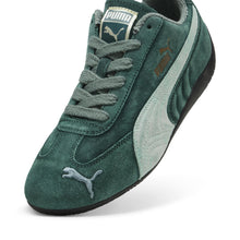 سبيدكات ذا نيفر وورن في دارك ميرتل