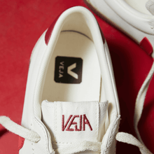 لحاء بكين الأبيض من فولي